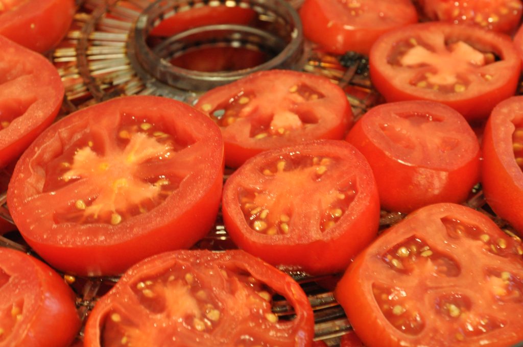 garden fresh tomatoes sliced into one fourth inch slices and placed on a food dryer tray tightly packed