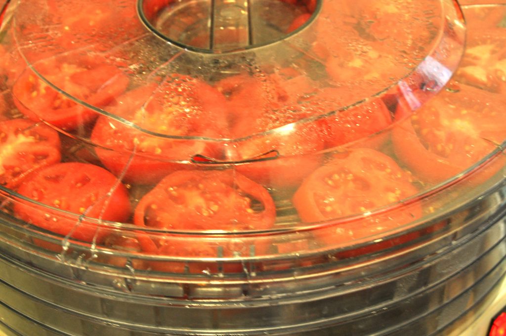 food dryer full of garden fresh sliced tomatoes