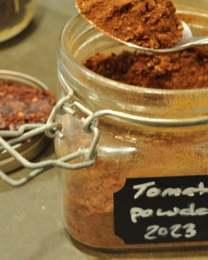tomato powder in a jar with a spoon dipping into jar and dried tomato slices next to jar